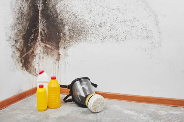 Best Mold Testing  in Yorktown, TX