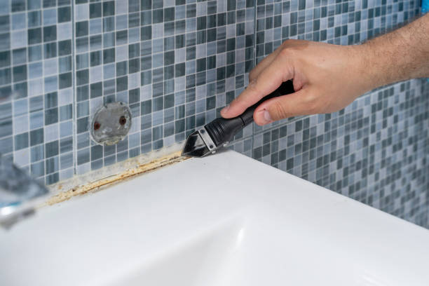 Best Local Mold Removal Service  in Yorktown, TX