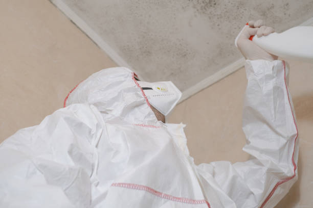 Best Mold Remediation  in Yorktown, TX