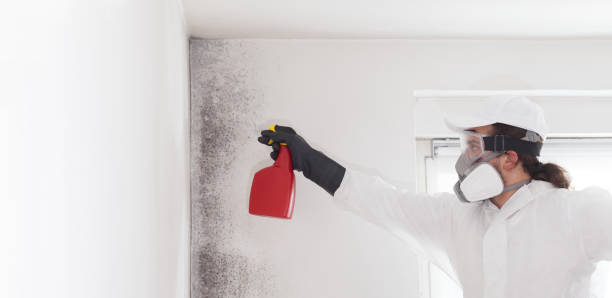 Best Emergency Mold Removal  in Yorktown, TX