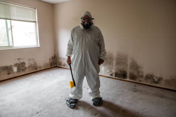 Best Residential Mold Removal  in Yorktown, TX